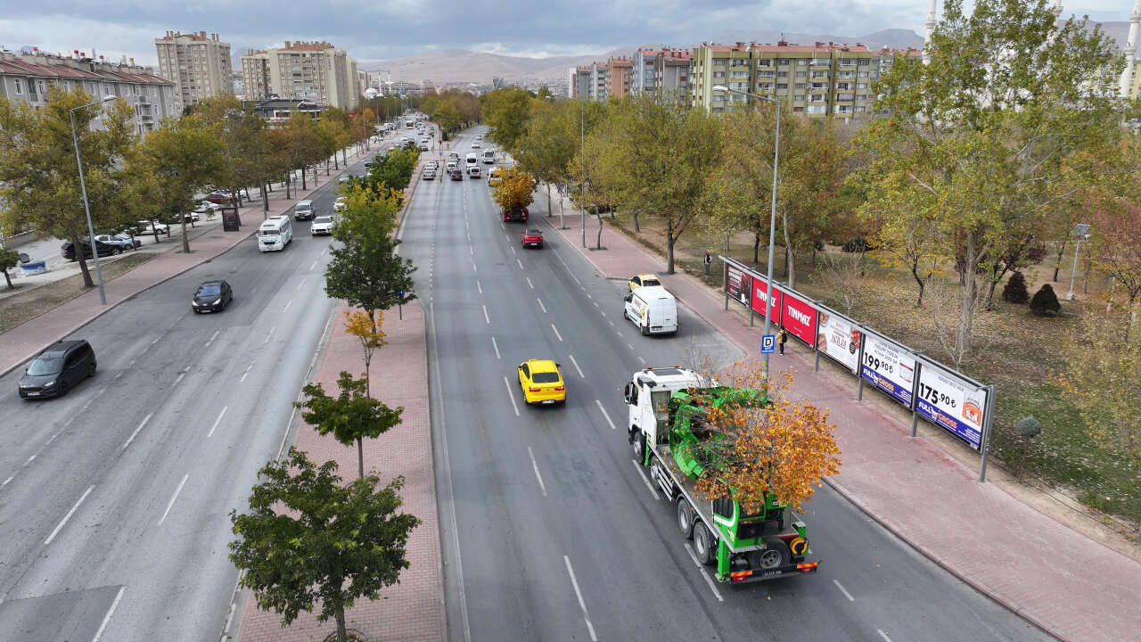 Konya’da tramvay çalışması nedeniyle kaldırılan ağaçların akıbeti belli oldu 17